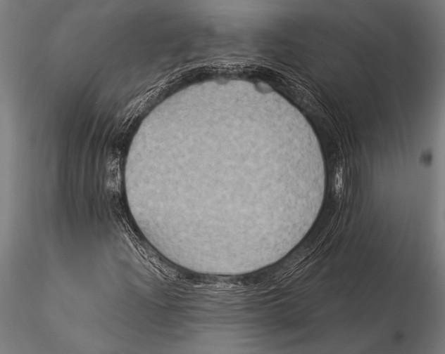 X0000116021204200912111344