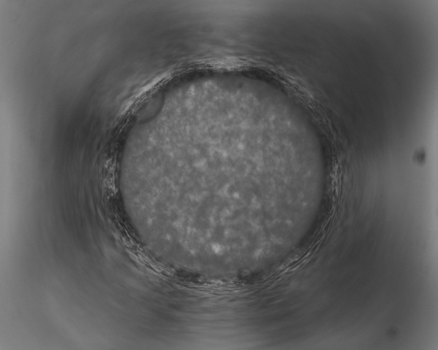 X0000116021205200912111344