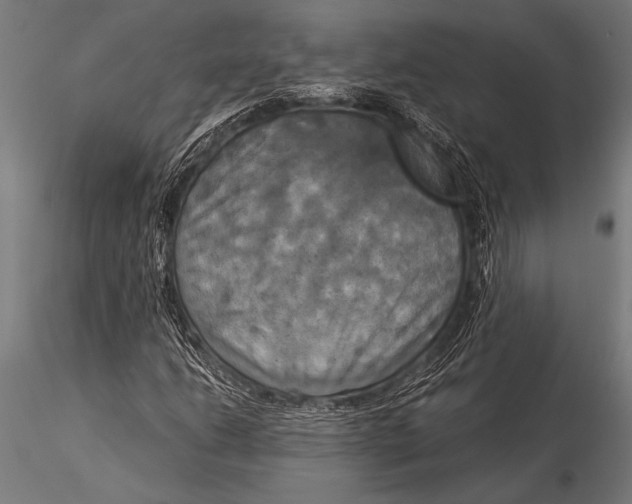 X0000116021206200912111344