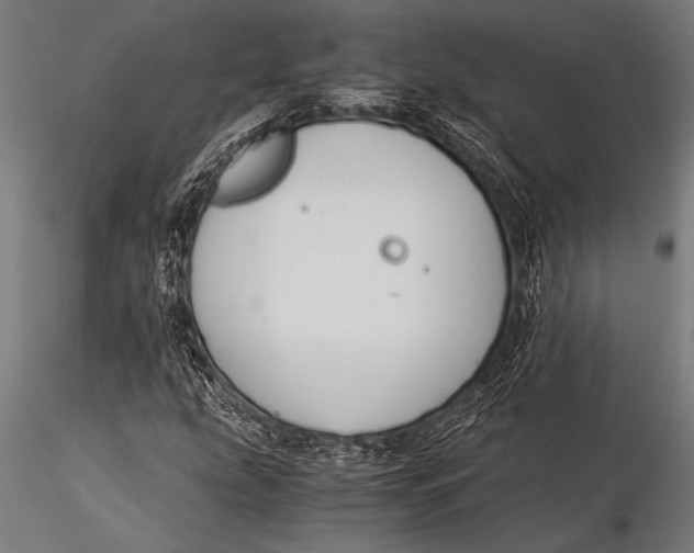 X0000116021207200912111344