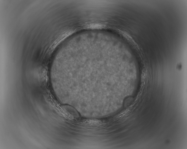 X0000116021209200912111344