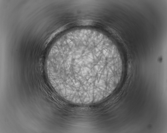 X0000116021210200912111344