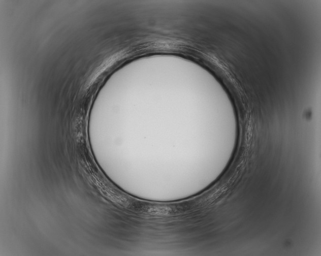 X0000116021211200912111344