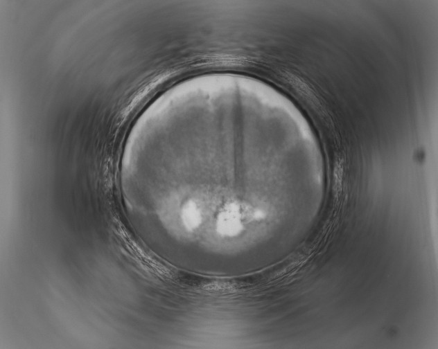 X0000116021212200912111344