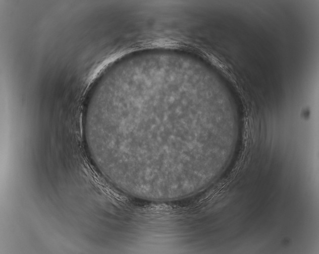 X0000116021214200912111344