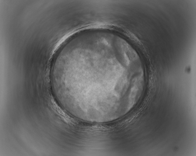 X0000116021216200912111344