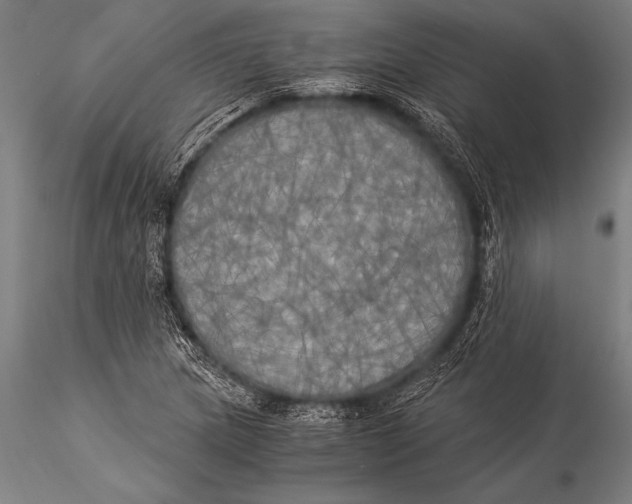 X0000116021217200912111344