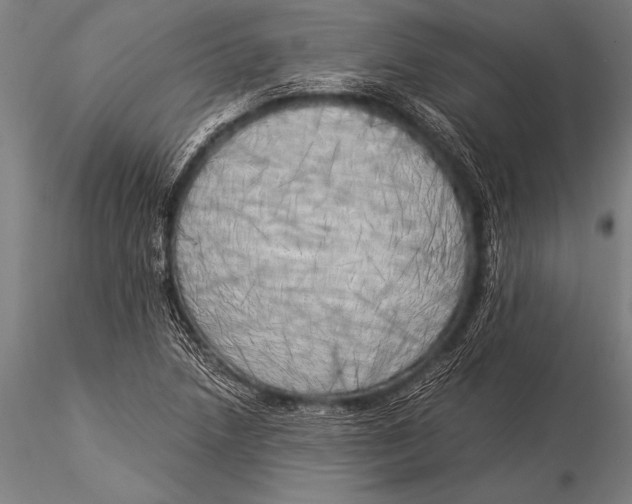 X0000116021218200912111344