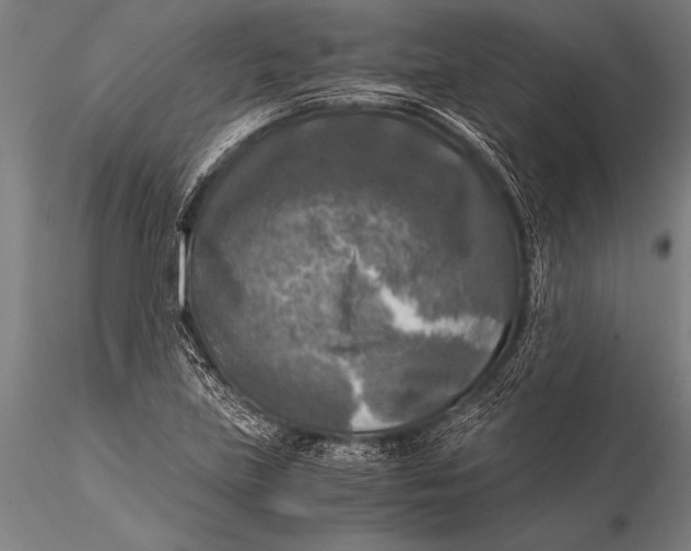 X0000116021219200912111344