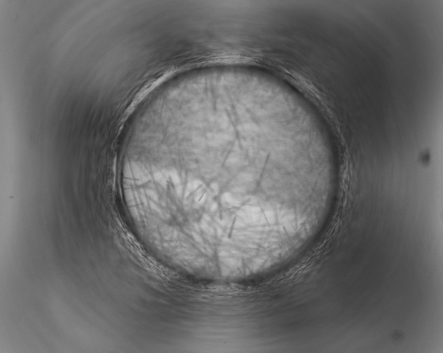 X0000116021220200912111344