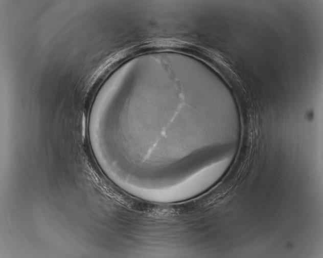 X0000116021221200912111344