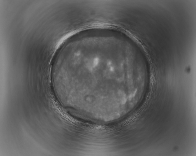 X0000116021222200912111344