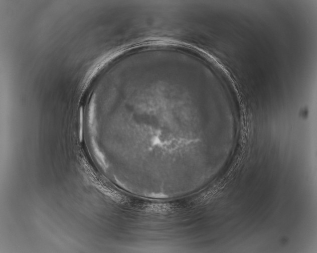 X0000116021223200912111344