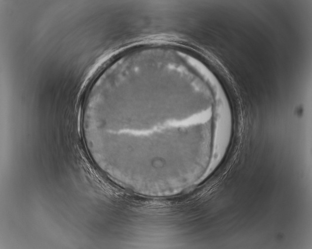 X0000116021224200912111344