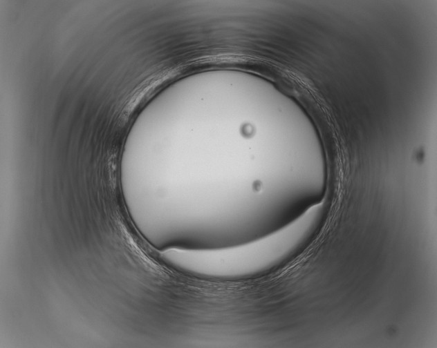 X0000116021225200912111344