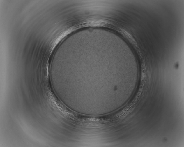 X0000116021226200912111344