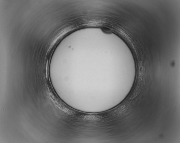 X0000116021227200912111344