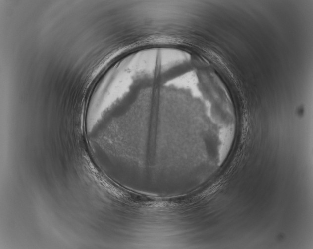 X0000116021228200912111344