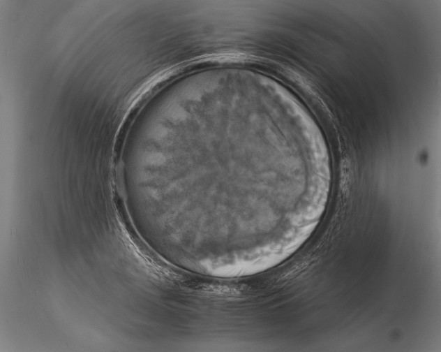 X0000116021229200912111344