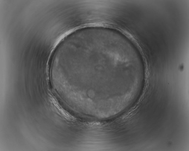 X0000116021230200912111344