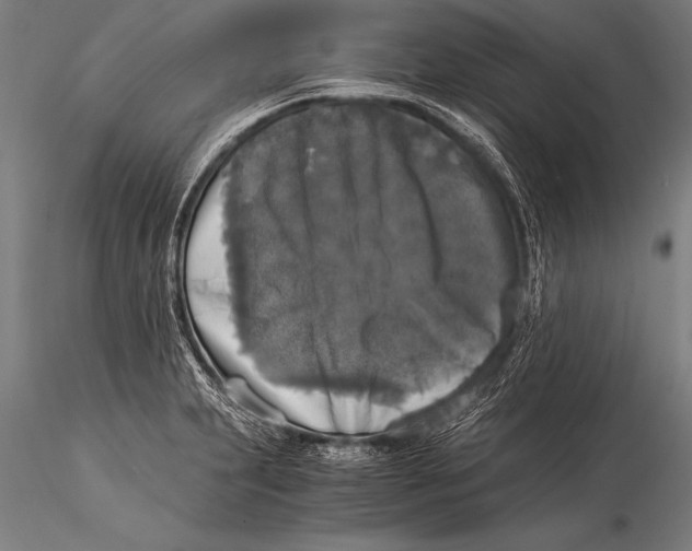 X0000116021231200912111344