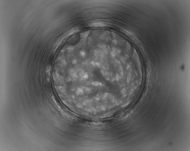 X0000116021233200912111344