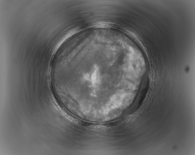 X0000116021235200912111344