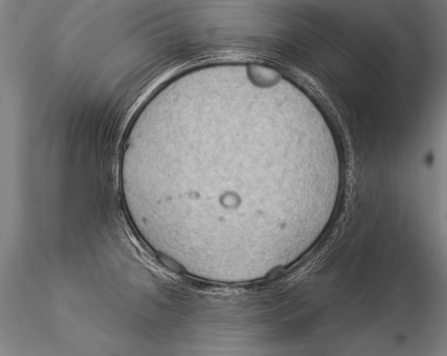 X0000116021236200912111344