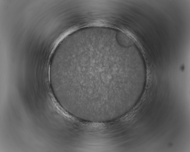 X0000116021238200912111344