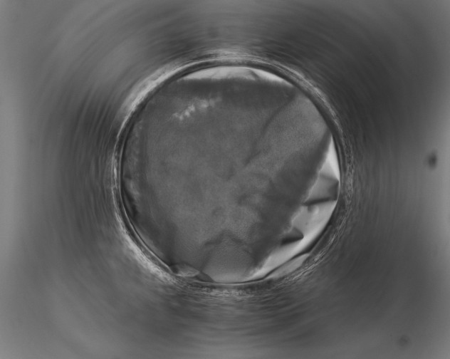 X0000116021239200912111344