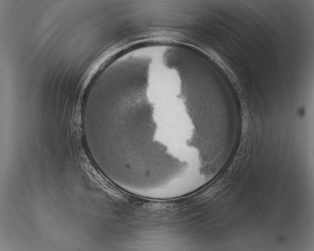 X0000116021240200912111344