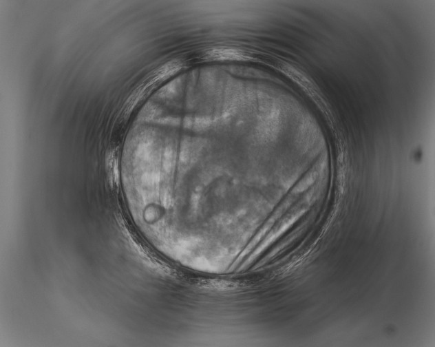 X0000116021241200912111344