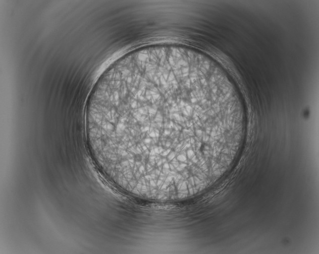 X0000116021242200912111344