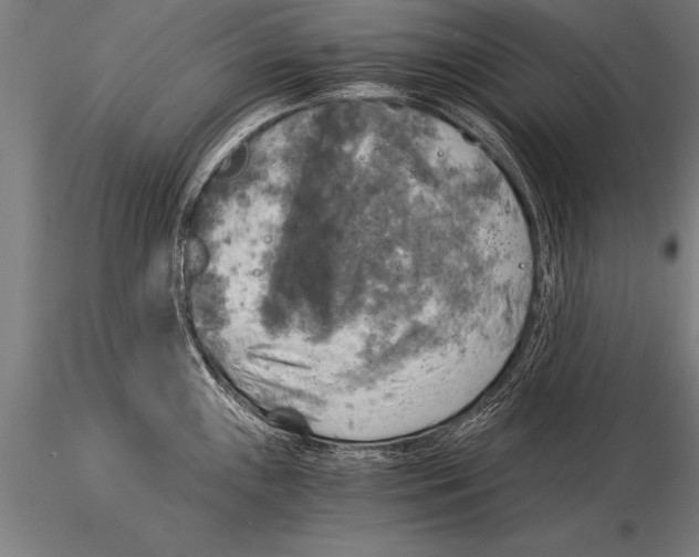 X0000116021243200912111344