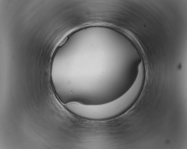 X0000116021244200912111344