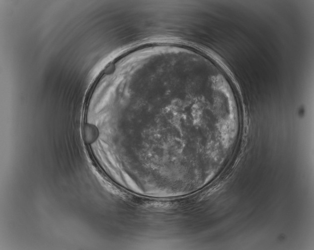 X0000116021245200912111344