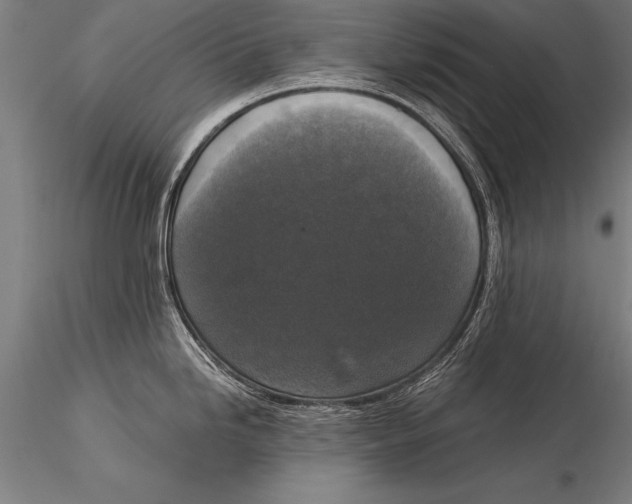 X0000116021246200912111344