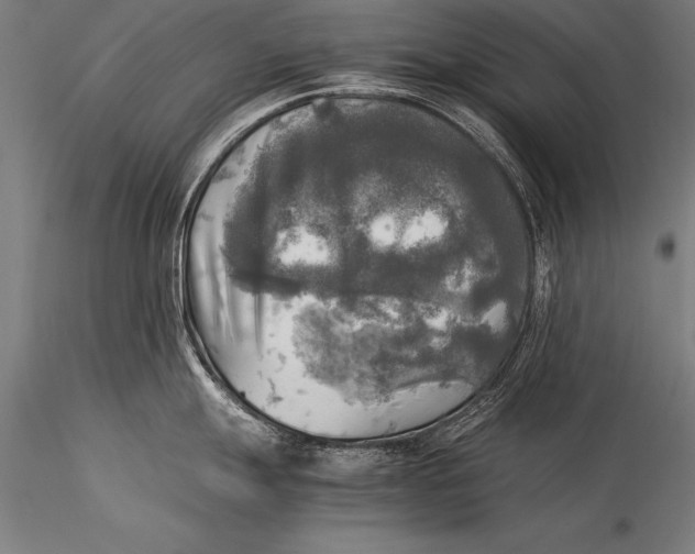 X0000116021247200912111344