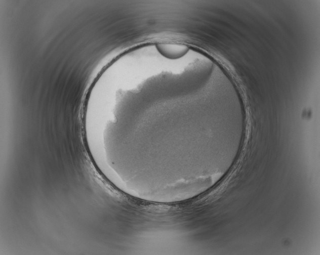 X0000116021248200912111344