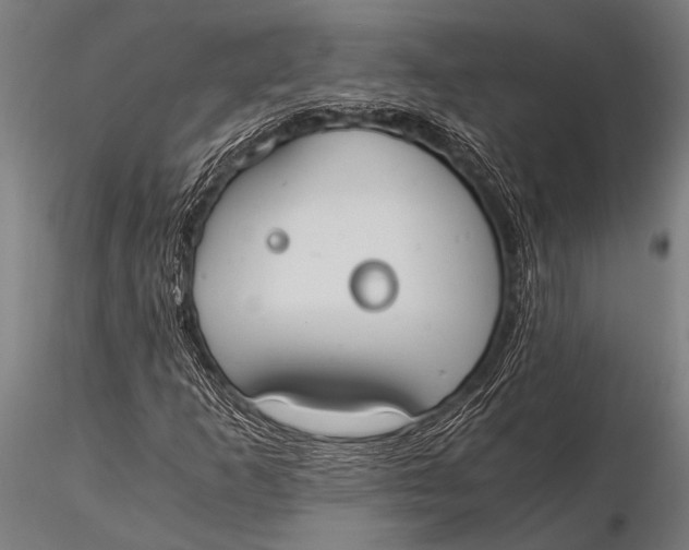 X0000116021253200912111343