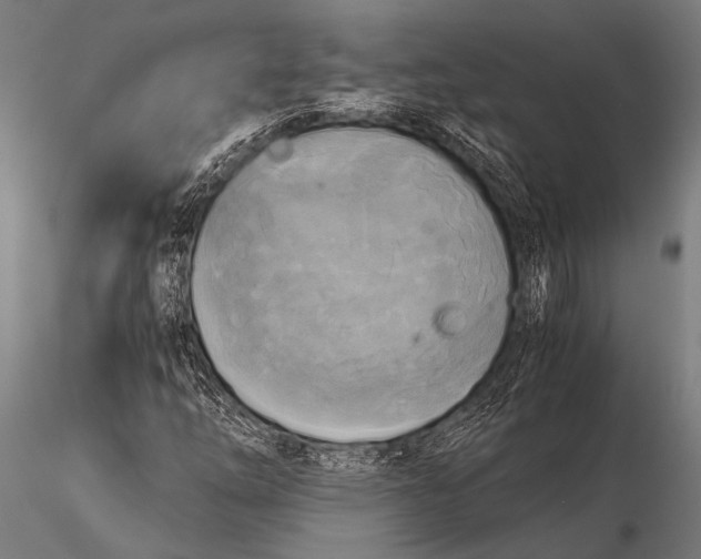 X0000116021254200912111343