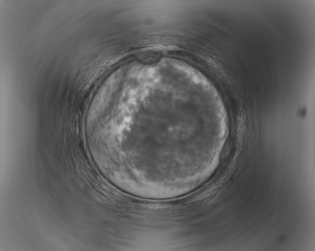 X0000116021257200912111343