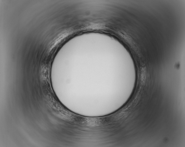 X0000116021258200912111343