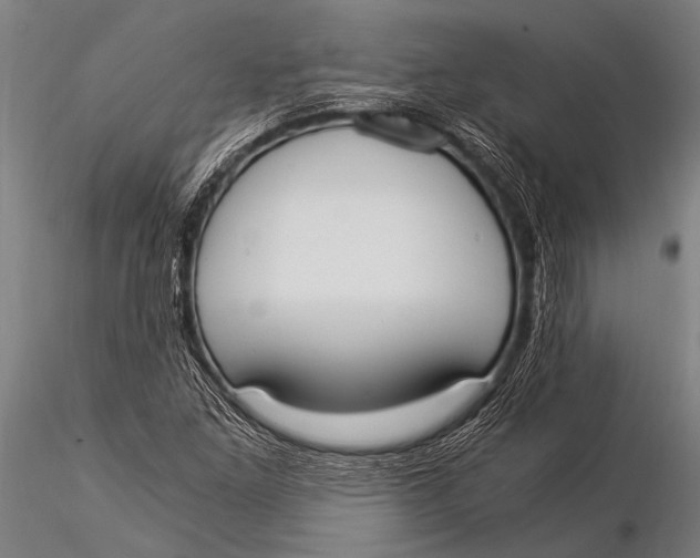 X0000116021261200912111343