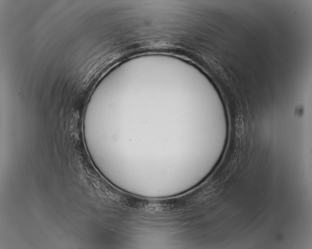 X0000116021265200912111343