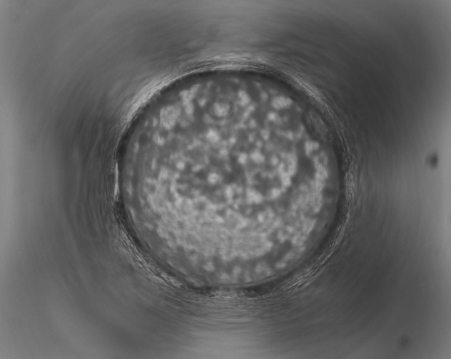 X0000116021267200912111343