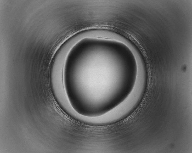 X0000116021276200912111343