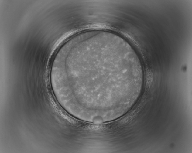 X0000116021278200912111343