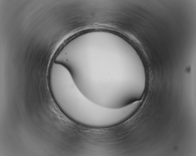 X0000116021280200912111343