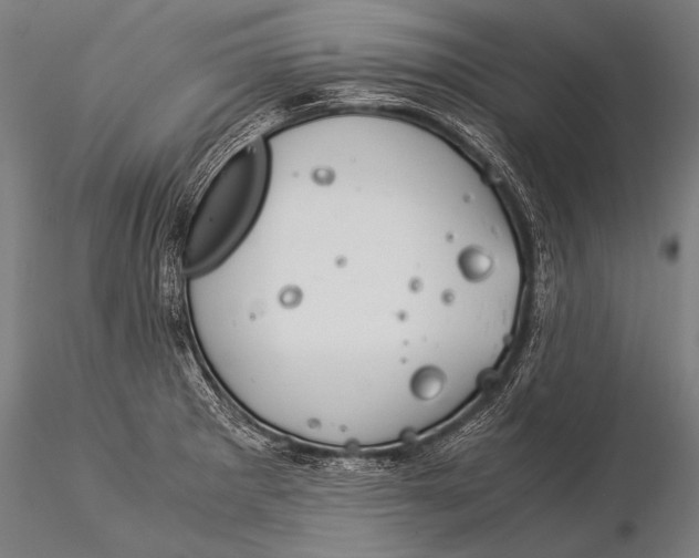 X0000116021281200912111343